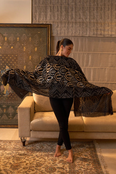 Astral Art | Embroidered Pure Cashmere Stole
