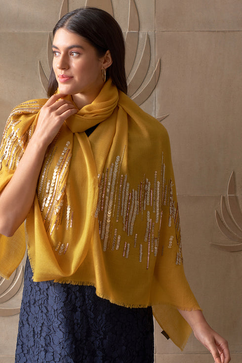 Shooting Stars | Embroidered Wool Silk Stole