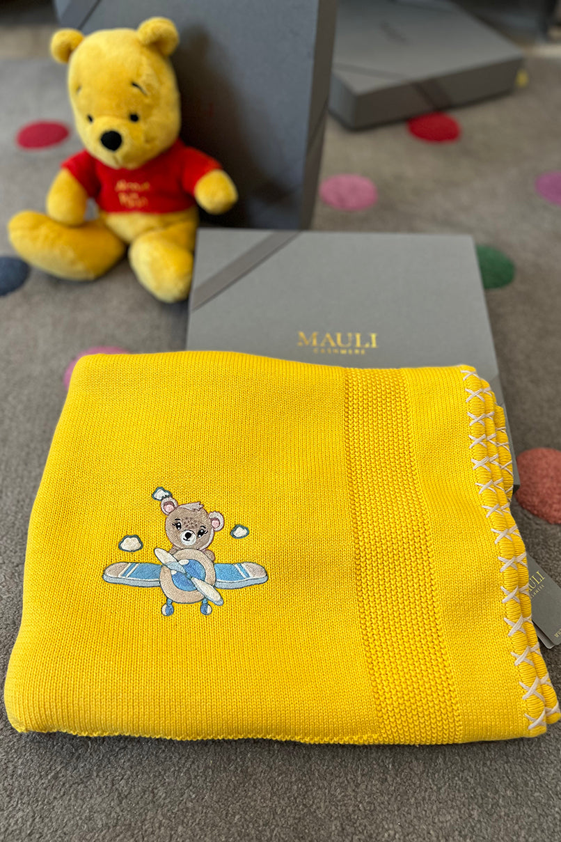 Baby Teddy & the Airplane Ride | Personalized Baby Blanket